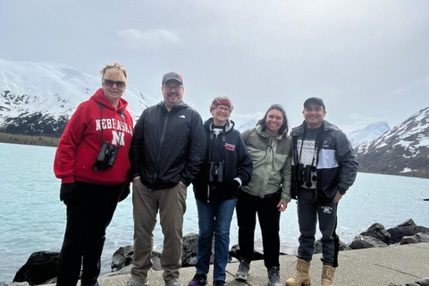 Glacier View & Wildlife Anchorage Adventure Tour