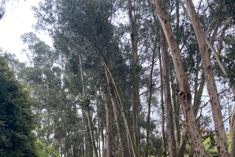 Cuenca by bike: History, Nature, and Snacks. Cuenca by bike: History, Nature, and Aperitifs.