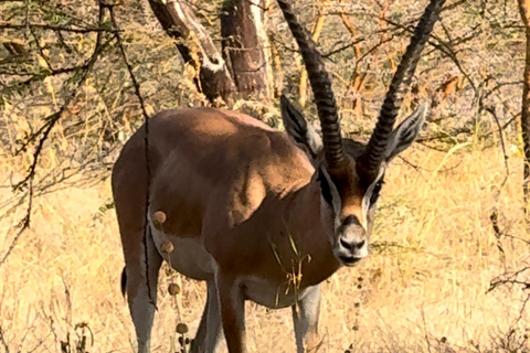 Äthiopien: 10-tägige Omo-Tal-Tour ab Addis Abeba