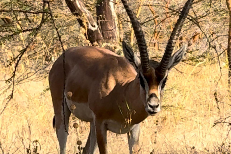 Äthiopien: 10-tägige Omo-Tal-Tour ab Addis Abeba