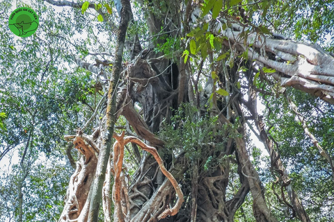 Parque Nacional de Cat Tien Tour Privado de 2 Días con Guía LGBTComida y hotel incluidos