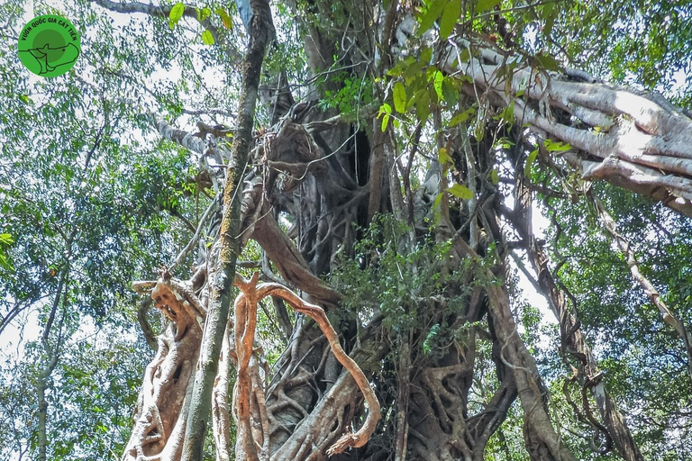 Cat Tien National Park Private Tour With Female Tour Guide Lunch is included