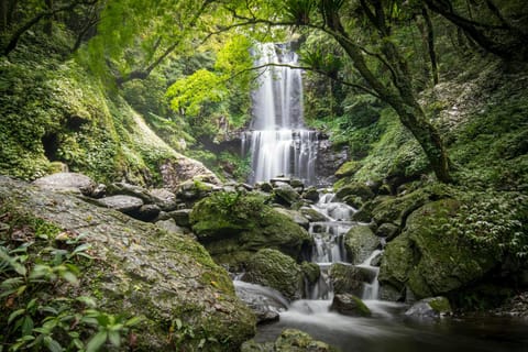From Kuala Lumpur: Lata Kinjang Waterfall & Ipoh Tour