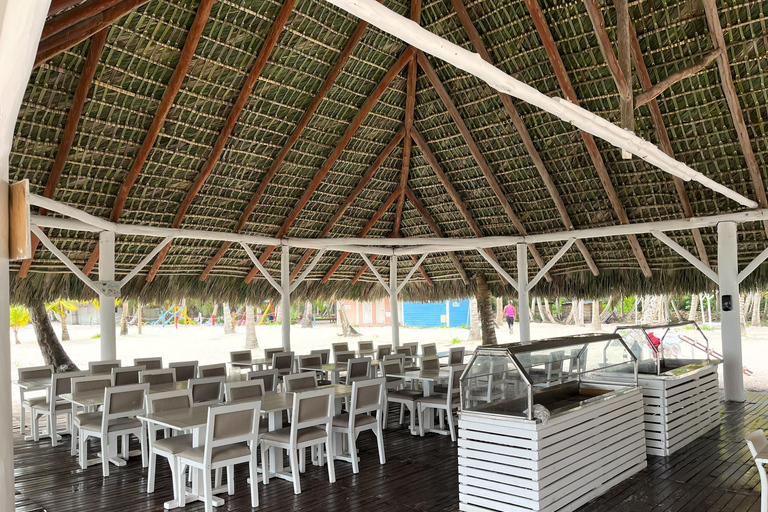 Saona Island by semi-submarine and snorkeling from Bavaro / Punta Cana.