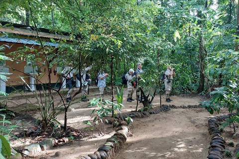 Colombo: Kithulgala Rainforest Birdwatching Tour & Lunch Colombo: Kithulgala Birdwatching Group Tour & Lunch