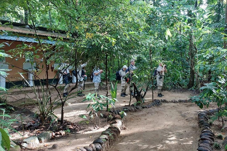 Colombo: Kithulgala Rainforest Birdwatching Tour & Lunch Colombo: Kithulgala Birdwatching Group Tour & Lunch