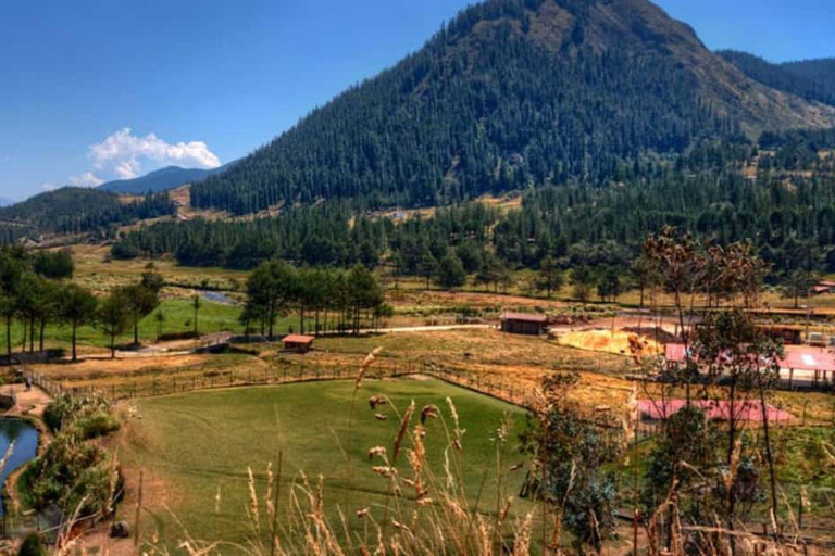 Excursión a las Ventanillas de Otuzco + granja tres Molinos