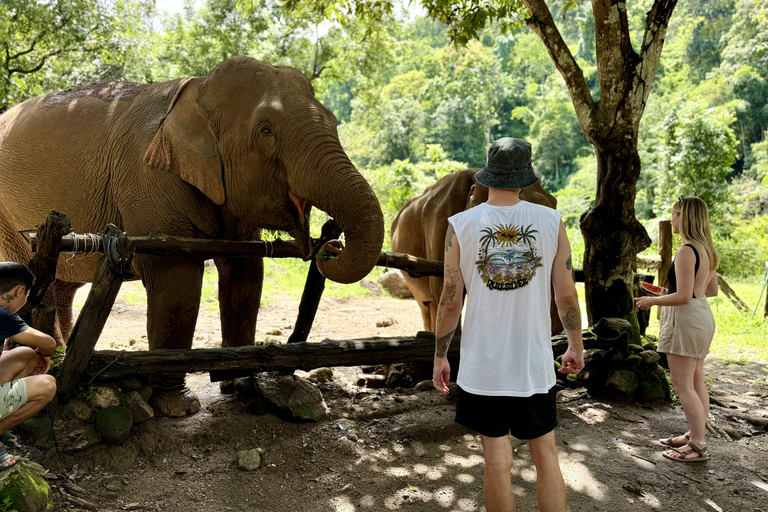 مغامرة شيانغ ماي ليوم كامل: المشي لمسافات طويلة، والتزحلق على الأنابيب، ومشاهدة الفيلةالرحلات، وا