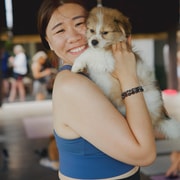 Puppy Yoga in Bali, Ubud & Uluwatu Puppy Yoga in Bali, Ubud & Uluwatu