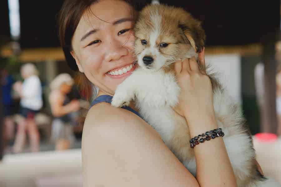 Welpen-Yoga in Bali, Ubud & Uluwatu. Foto: GetYourGuide