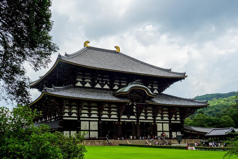 Da Osaka:Tour privato di Kyoto e Nara (autista parlante inglese)Kyoto: Tour panoramico privato con autista che parla inglese