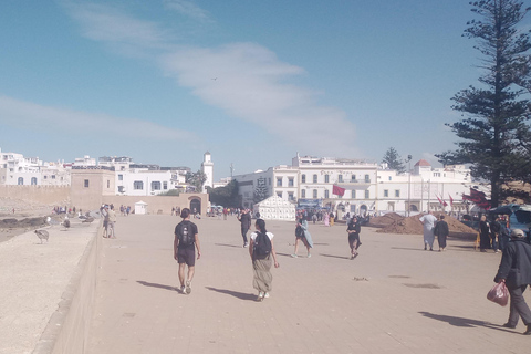 Excursion d'une journée à Essaouira visite partagée