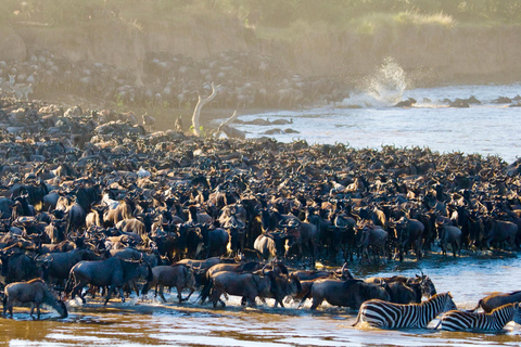 Tanzania: 7-dniowa migracja antylop gnu Serengeti (lipiec-październik)