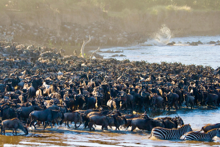 Tanzania: 7-dniowa migracja antylop gnu Serengeti (lipiec-październik)