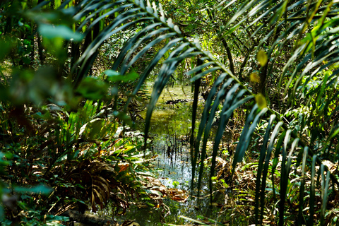 Bangkok Green Oasis Nature Bike Tour