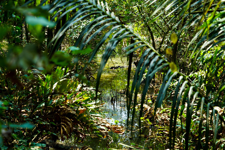 Bangkok Green Oasis Nature Bike Tour