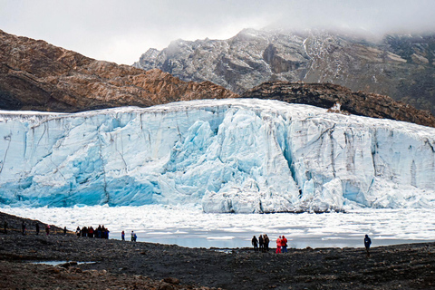 Huaraz: Nevado Pastoruri + Puyas Raymondi bos