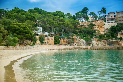 帕尔马德马略卡：私人定制龙洞与东海岸之旅帕尔马德马略卡：私人龙洞与东海岸之旅