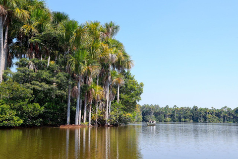 Tambopata | Sandoval-sjön 4D /3N