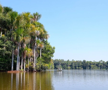 Tambopata |Lago Sandoval 4D /3N