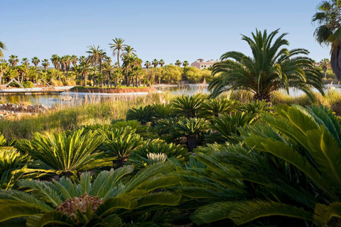Mallorca: Botanicactus at the Botanical Garden in Ses Salines Mallorca: From Botanicactus to the Botanical Garden at Ses Salines