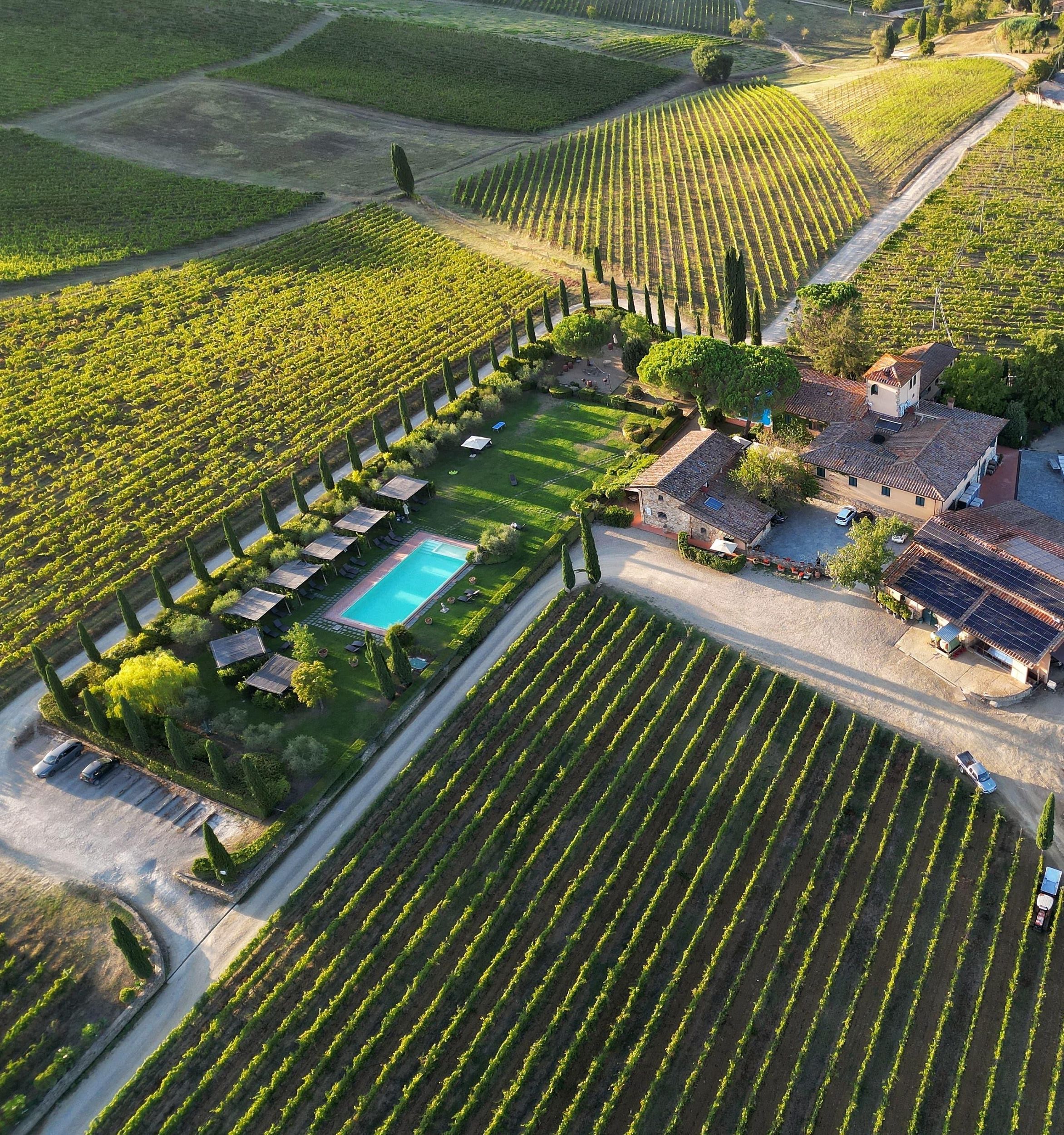 Entdecke die Weine des Chianti Classico mit Führung und Verkostung in Viticcio