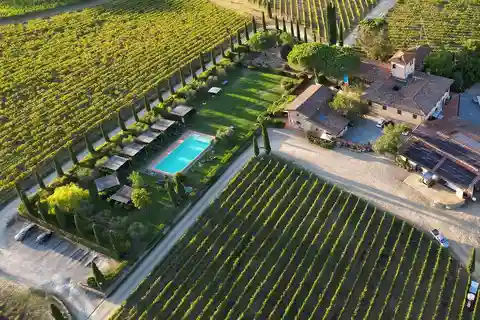 Discover the Wines of Chianti Classico with a tasting at Viticcio