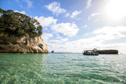 Excursion d&#039;une journée à CATHEDRAL COVE et HOT WATER BEACH au départ d&#039;Auckland