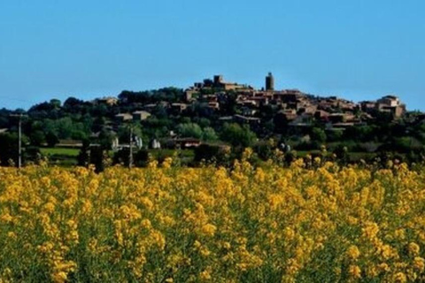 Barcelona: Tour Besalu, Peratallada and pals