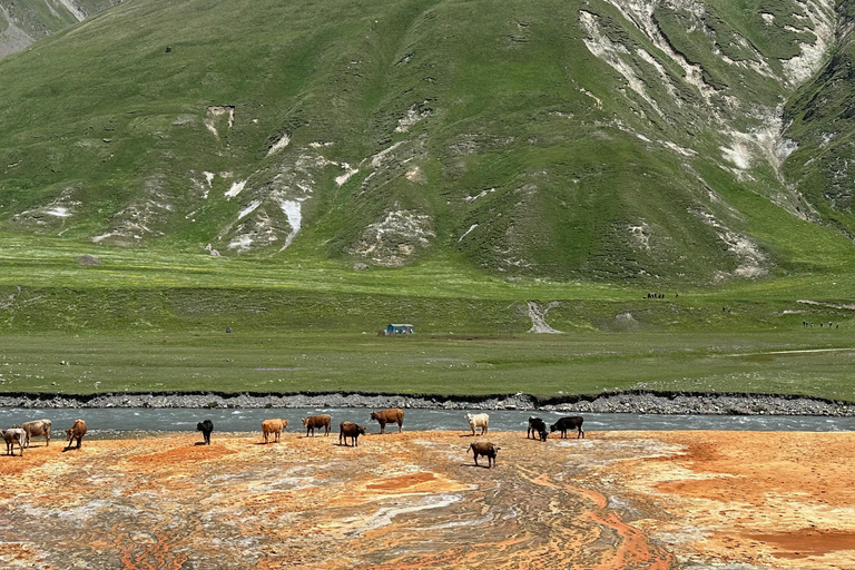 Truso Valley: All-Inclusive Day Hike