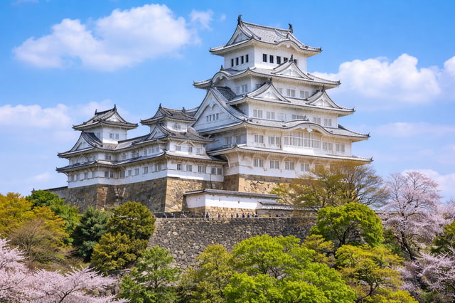 Kobe and Himeji day tour with English speaking driver