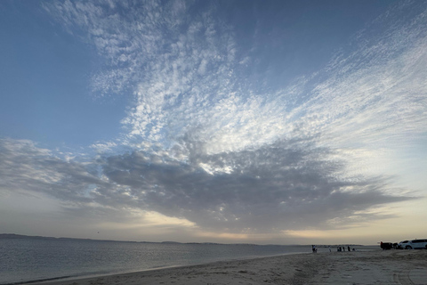 Doha: Desert Safari with Dune Bashing and Sunset Views