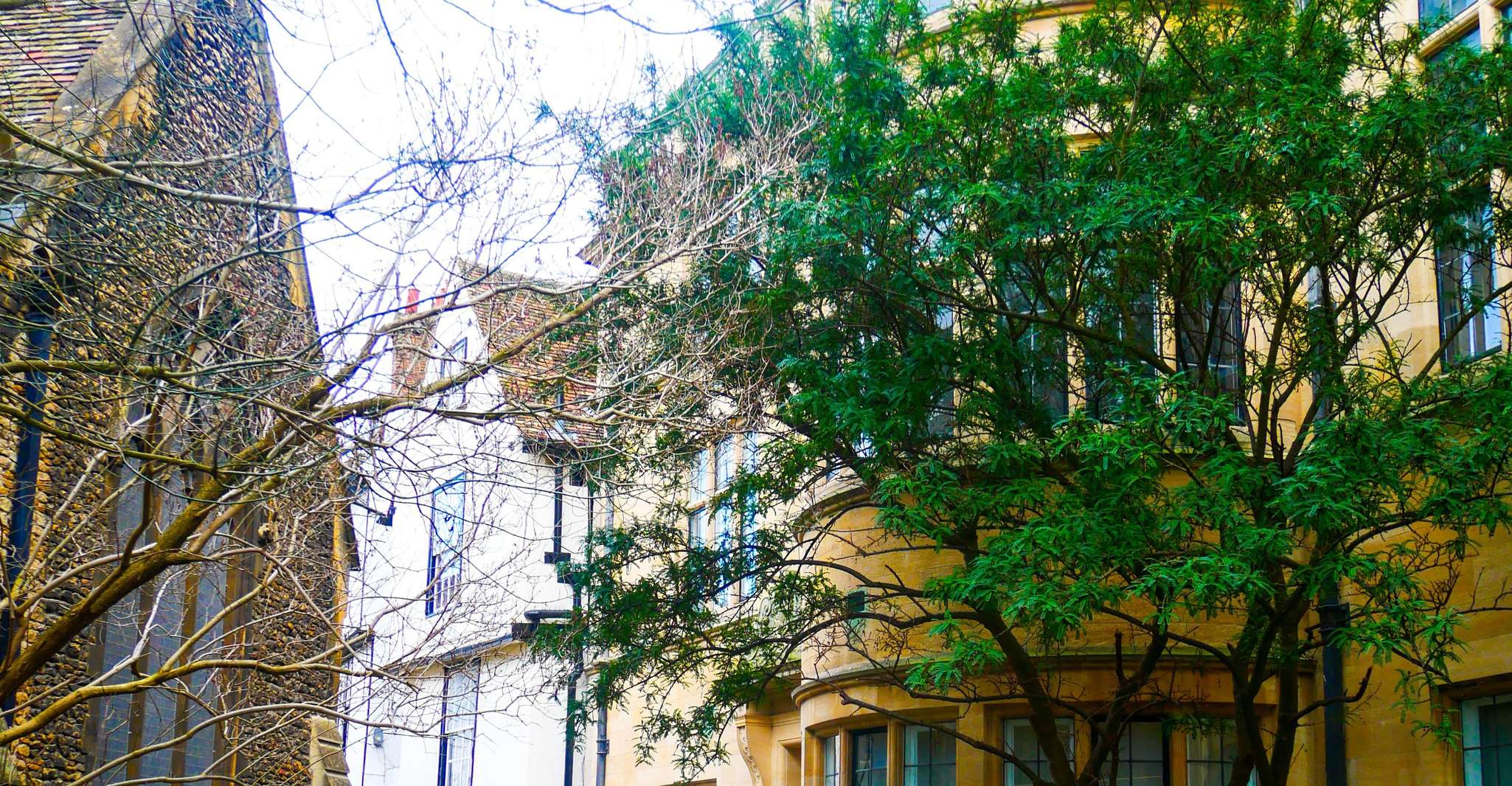 Cambridge, Adventure Through Cross-Disciplinary Revolutions - Housity