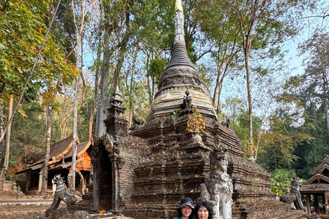 Chiang Mai: Tempel, natuur en cultuur in één dag.Olifantenopvang en Doi Suthep Tour.