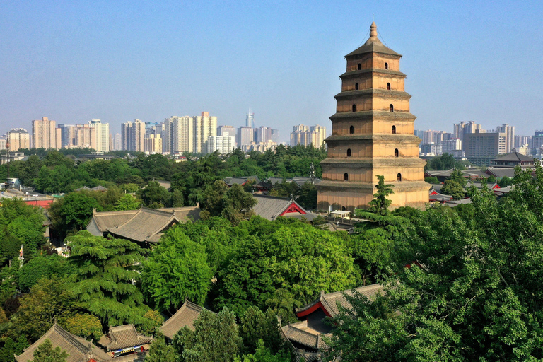 Xi'an: Daci'en Temple(Great Wild Goose Pagoda) E-ticket Daci'en Temple(Entry Time 08:30am-10:30am)