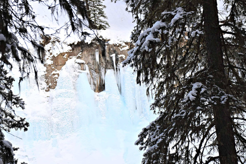 Banff e Lake Louise: Passeios cheios de diversão com a Rewild Adventures