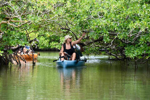 From Naples, FL: Marco Island Mangroves Kayak or Paddle Tour Easy Ride Pedal Kayak Tour