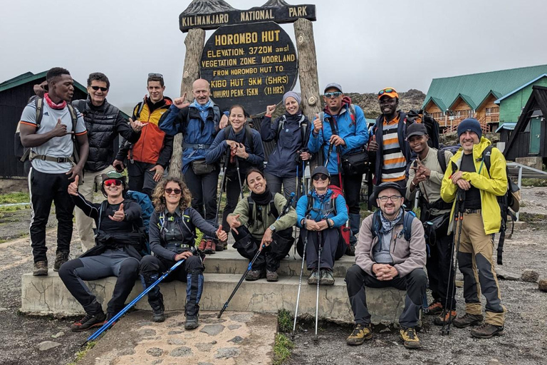 MEJOR EXCURSIÓN AL KILIMANJARO OFERTA RUTA MARANGU EN UN DÍA