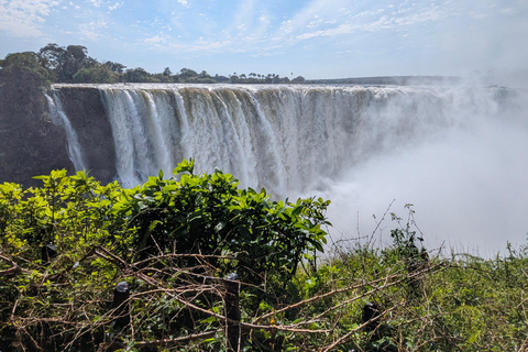 Victoria Falls: Guided Tour with Rainforest & Big Tree Full Heritage Experience: Falls, Rail & City