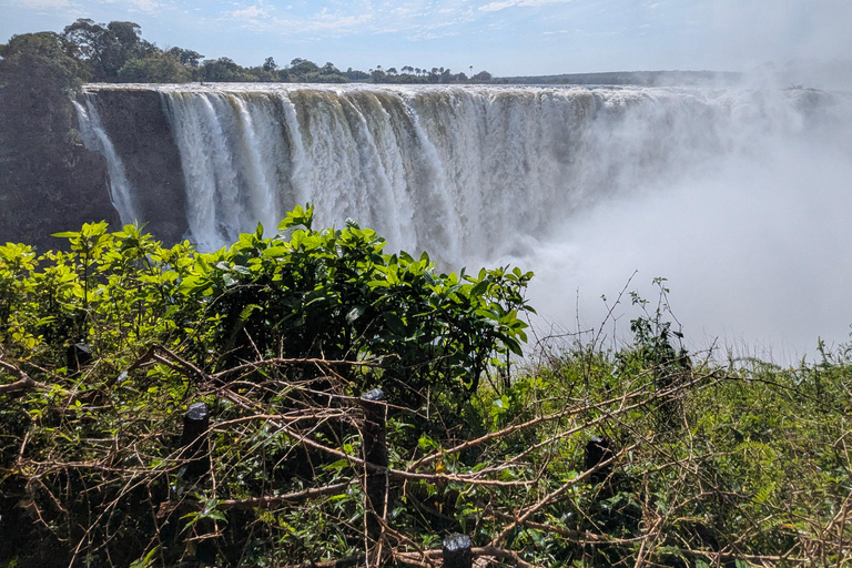 Victoria Falls: Guided Tour with Rainforest & Big Tree Full Heritage Experience: Falls, Rail & City