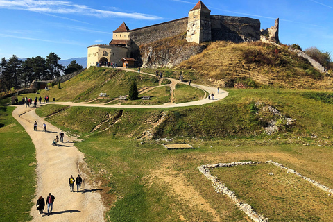 Brasov : château de Bran, sanctuaire des ours, Rasnov (Peles en option)