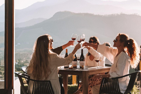 Le Cap : visite des vignobles pour les amateurs de vin avec transfert privé