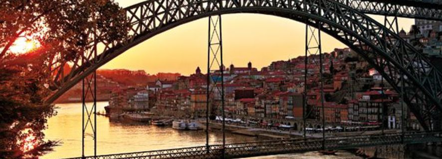 Porto Half-Day Historical Tour & Port Wine Tasting