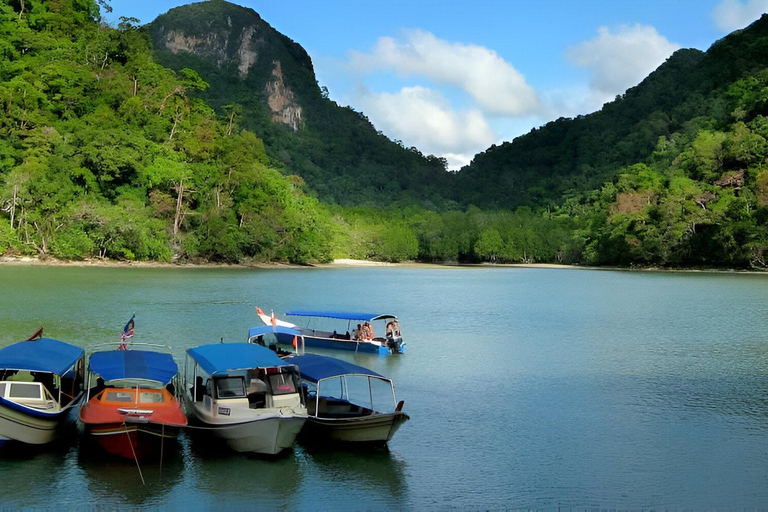 Langkawi: Mangroven-Touren mit Optionen