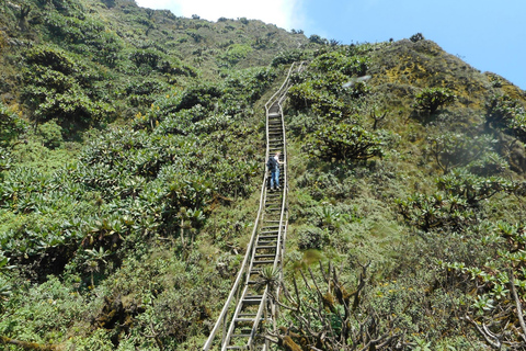 Rwanda 1 Day Mount Sabyinyo Hiking Adventure