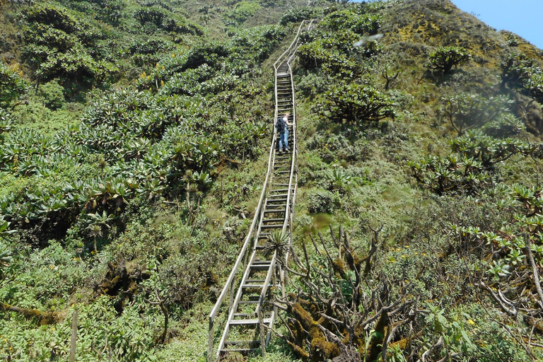 Rwanda 1 Day Mount Sabyinyo Hiking Adventure