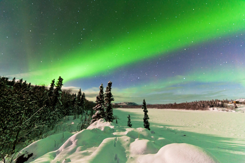 Rovaniemi: Wunderbares Abenteuer auf der Suche nach der Aurora