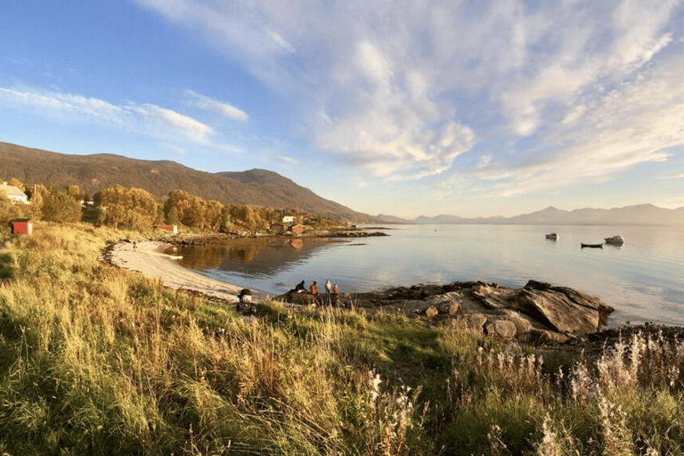 Tromsø: Inseltour mit Seilbahnfahrt (privat oder gemeinsam)Tromsø: Private Tour auf eine Insel mit Seilbahnfahrt und Mittagessen