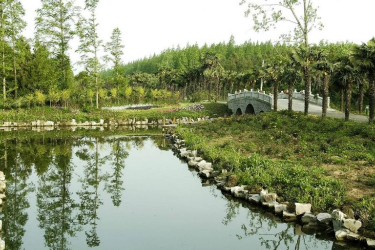Outdoor Fun in Shanghai: Dongping Park Entry for 2-Person
