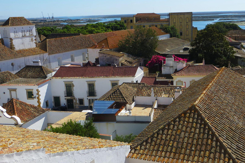 Best of Faro: Private Walking Tour with a Local Private City Walking Tour - 3Hr